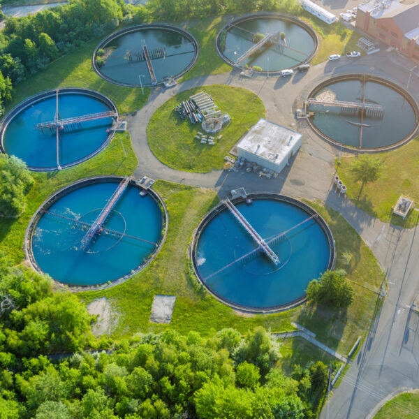 Bioculture for Septic Tank