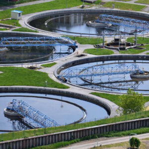 Bioculture for Municipal Wastewater