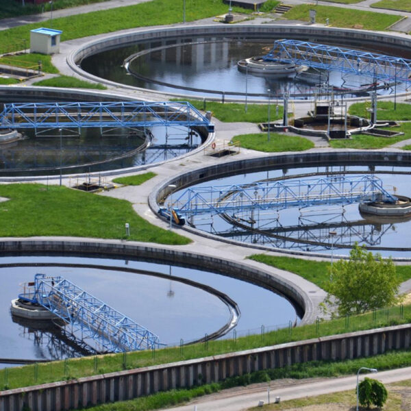 Bioculture for Municipal Wastewater