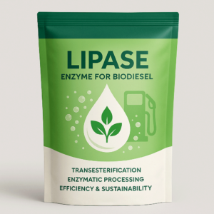 Lipase