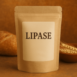 Lipase