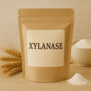 Xylanase