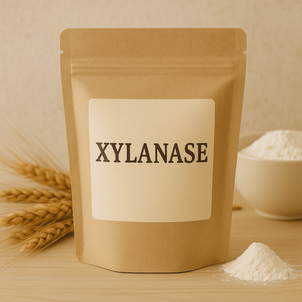 Xylanase