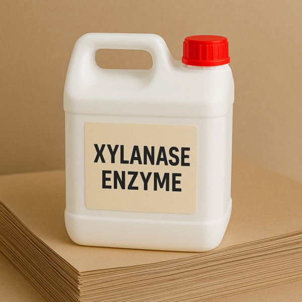 Xylanase Enzyme