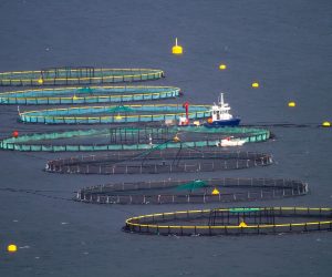 fish-farming-7557623_1920